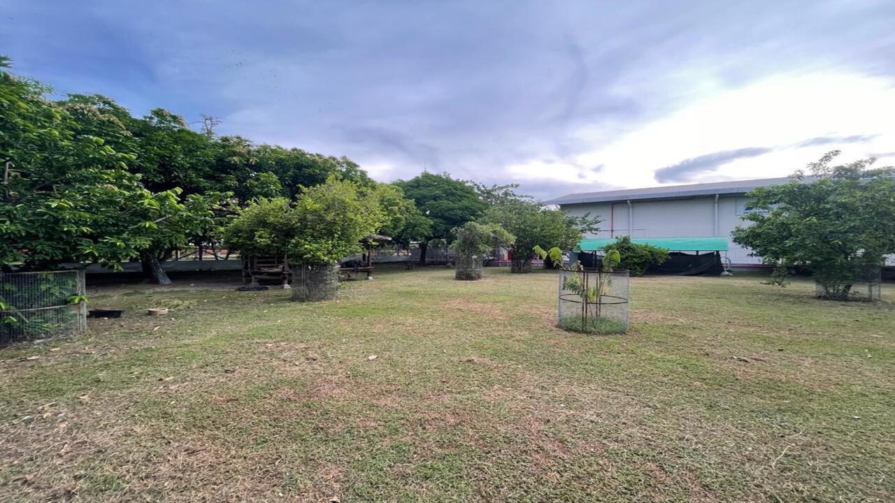 WhatsApp Image 2023-08-19 at 20.37.45 (2)