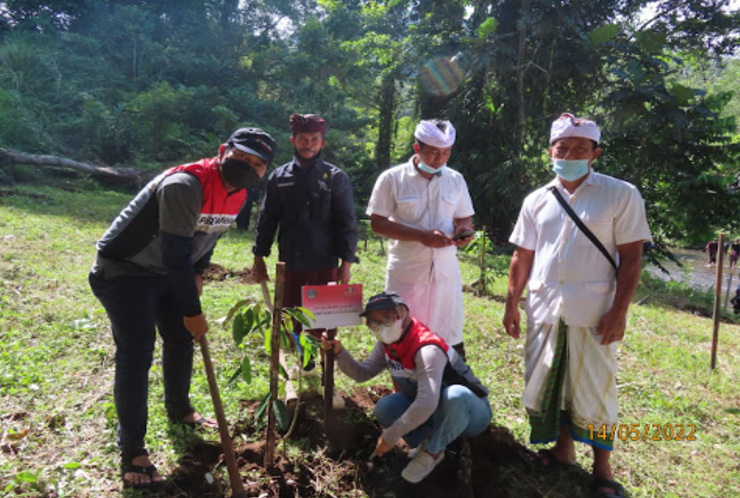 Penanaman 500 Pohon untuk Perayaan Tumpek Wariga